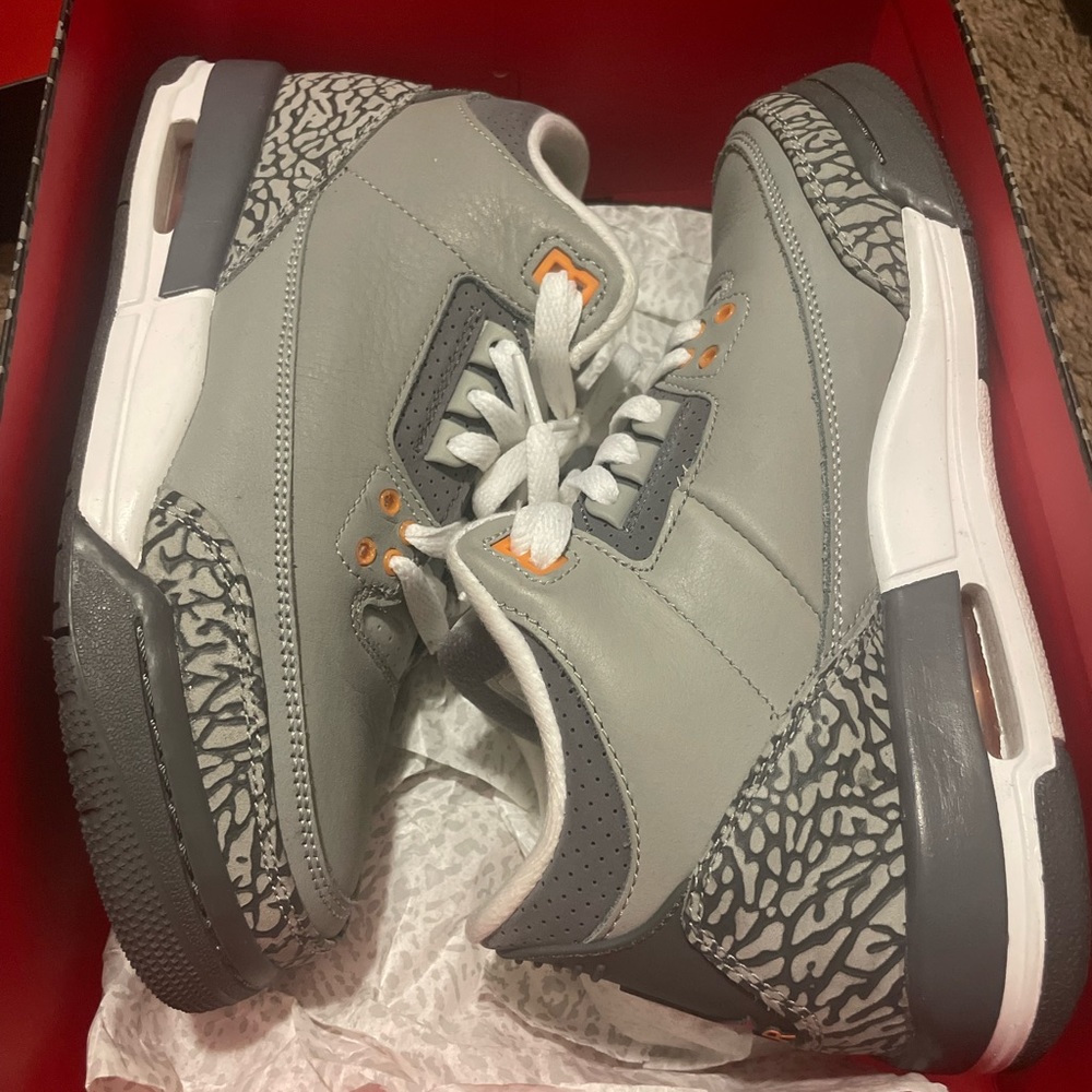 Jordan Cool Grey 3s